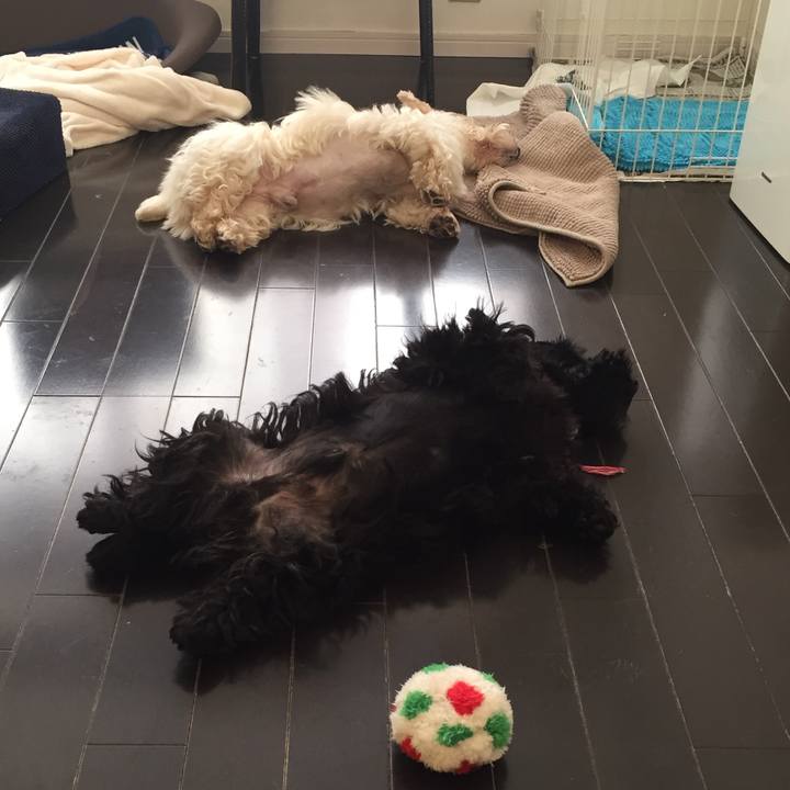 Dd93ad67 1a74 4ce5 af65 d90ffe997e14