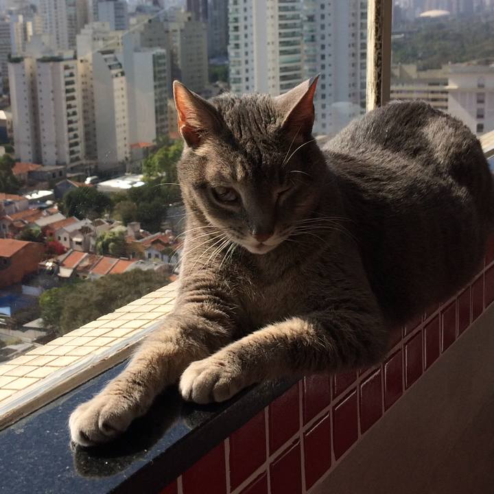 Dd94dc87 9901 495f 8cf6 c330c9971795