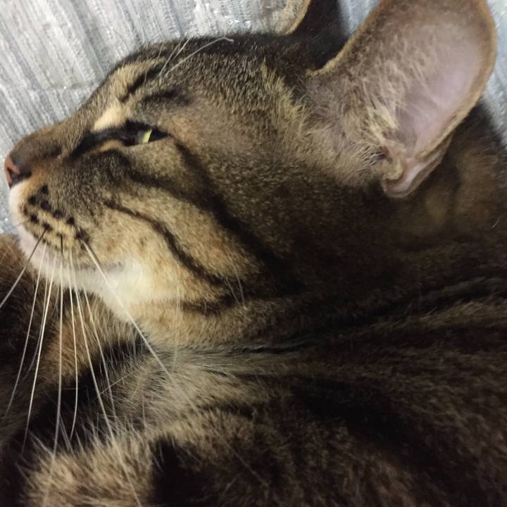 Dd94e5bf 13a8 4c35 be5d 058b51b88184