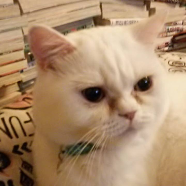 Dd95a033 4fb6 4a07 8550 1d13a082c5f4