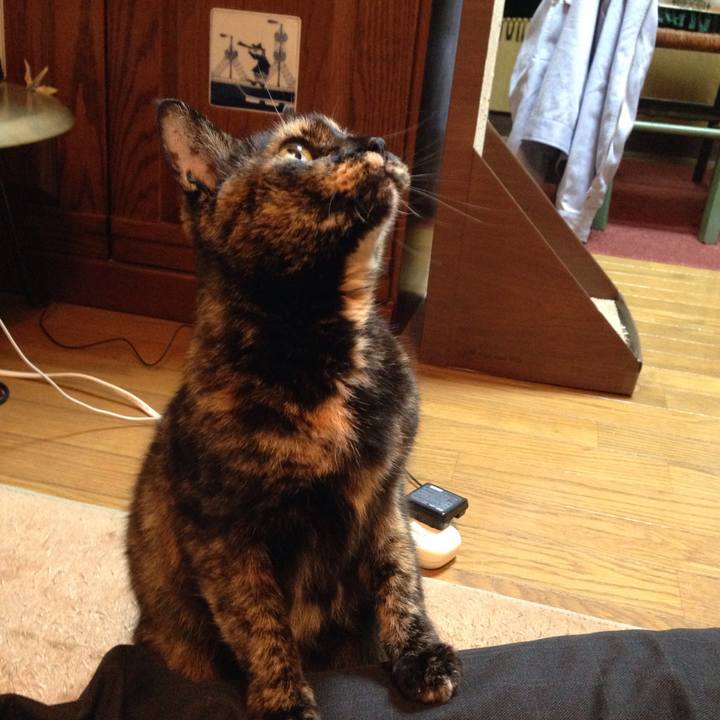 Dd95a880 4abf 4bc0 96c4 16ee4ade3a8f