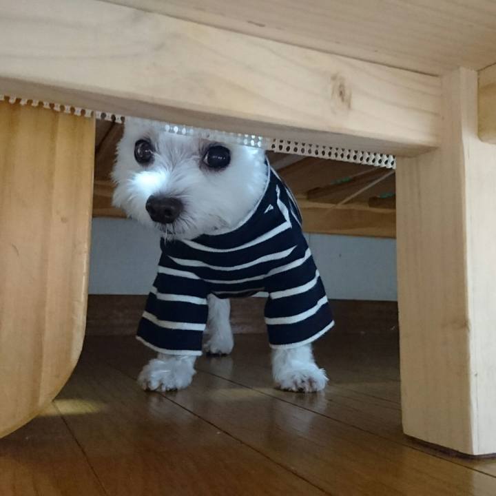 Dd960e4b 7fca 496c 9cfc 64836768b09b