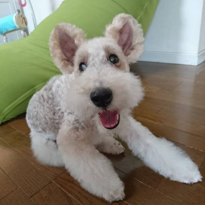 Dd96bff5 13c8 4c52 9ff0 9ffdda9b28b2