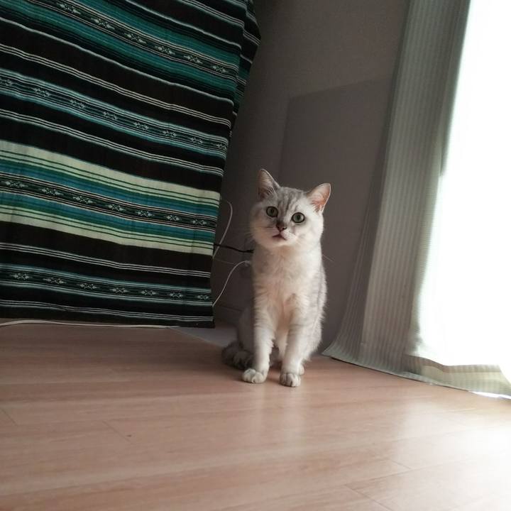 Dd96f8e7 b3b0 444b 8355 bd78b5bac05f