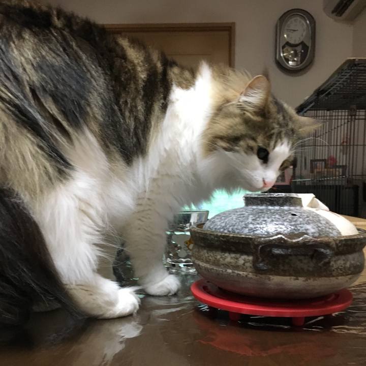 Dd9760cf b2e3 4150 a195 b7df6fe85b77