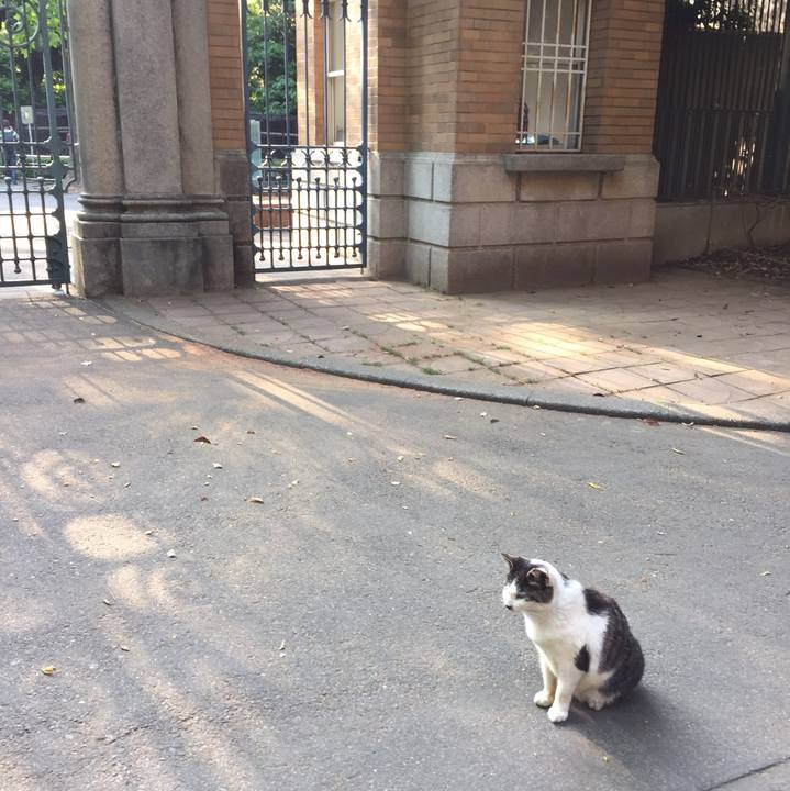 Dd9862f5 dd31 4ed2 9df9 e51168a2689e