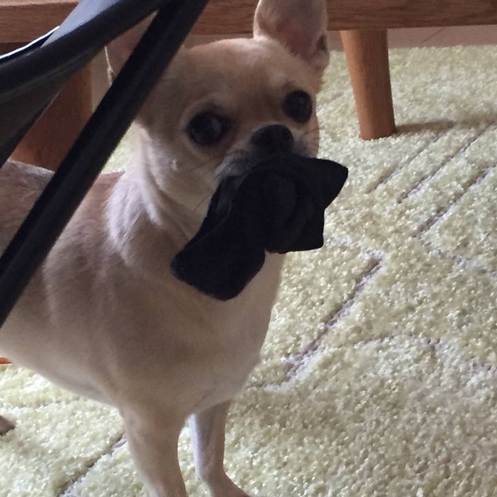 Dd988702 e29b 4644 b57c 96945e69141d