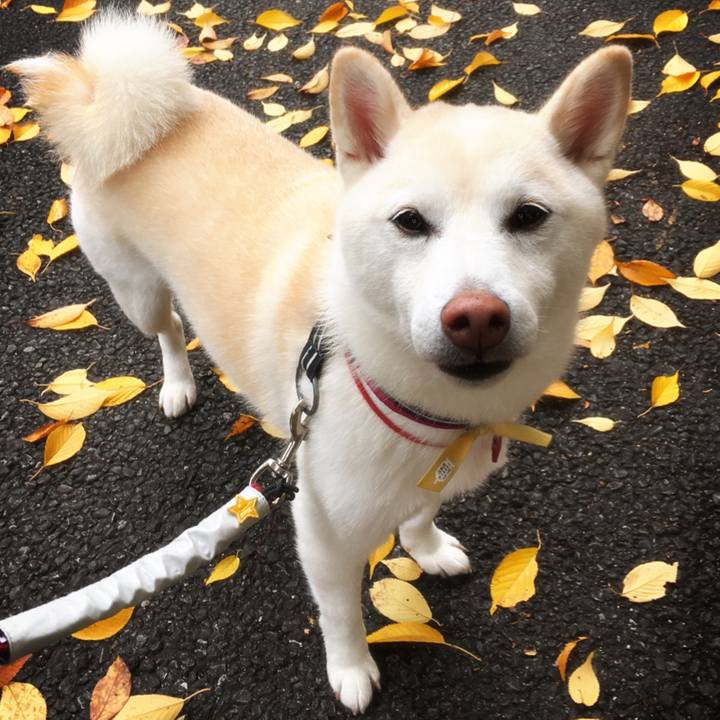 Dd98b1ad 3efa 438d 8dab bb1689459dbc