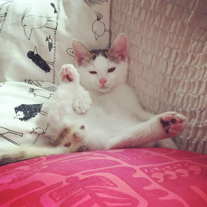 Dd98c807 ba02 481e a739 3e9f26c93a63