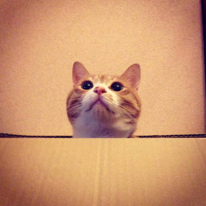 Dd994acb dee1 46f8 b828 9a371871e445