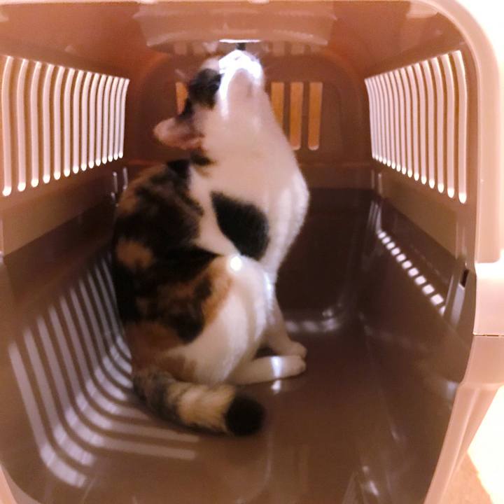 Dd9959b9 60f1 41eb 8895 30d7493246a8