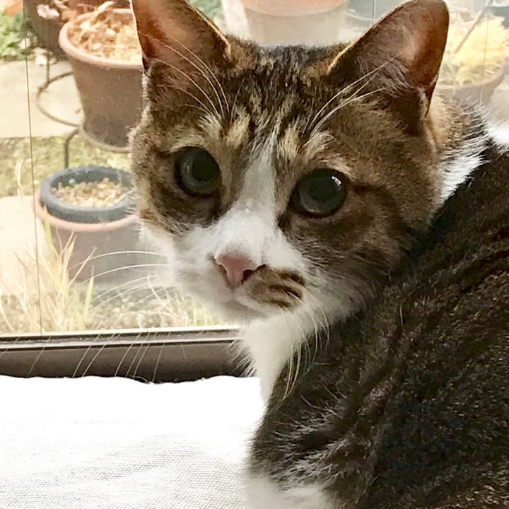 Dd9a580e df49 40f2 9fc7 0bb4f100e3ca