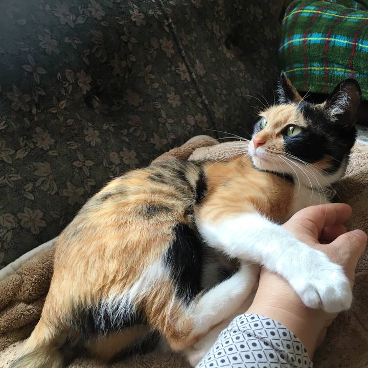 Dd9a8b44 1ad8 47bd bafd 05fd37795162