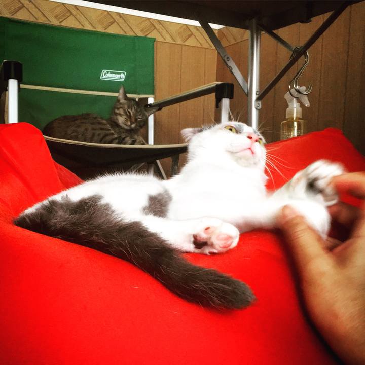 Dd9b044b 6cfb 43e0 829d 598695f86dfd