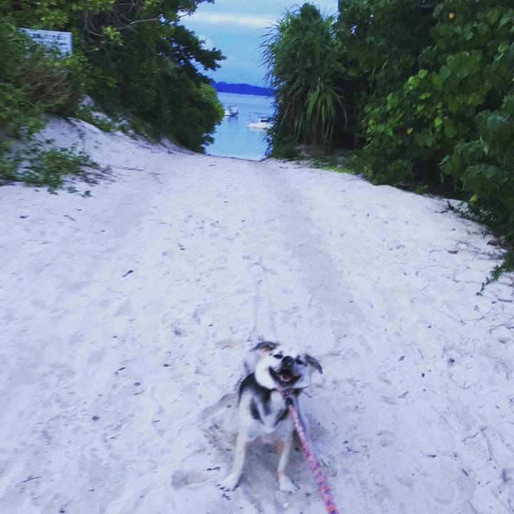 Dd9b89e8 a442 40a5 a583 05d86d70e5da