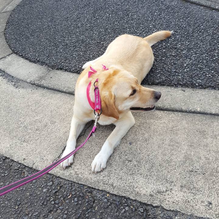 Dd9bca87 e81c 4387 bbef 054d9968eef8