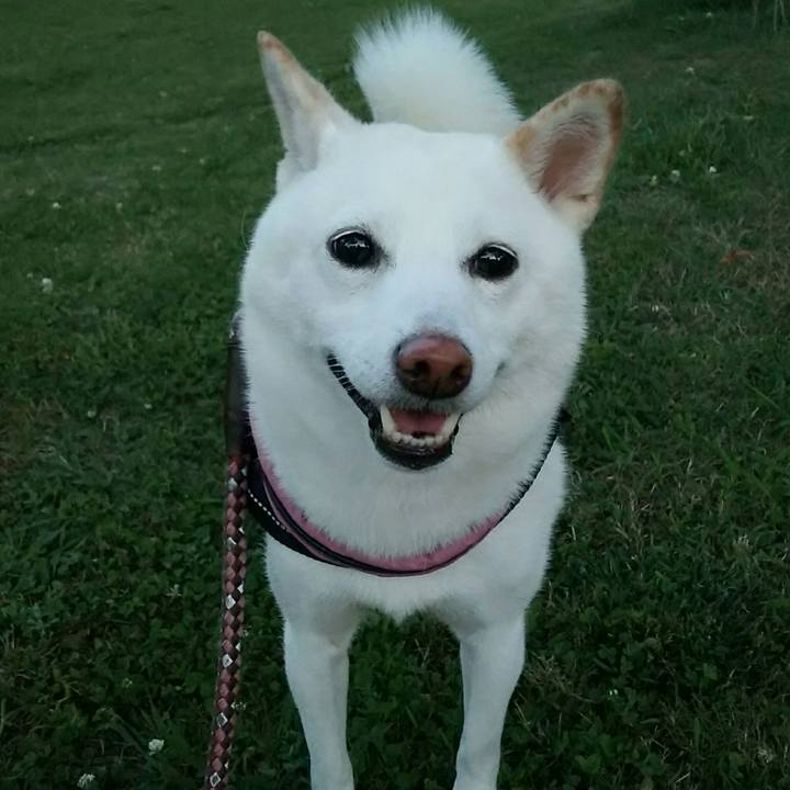 Dd9c0d86 5c9e 4fbe 9d0e 6636167232a0