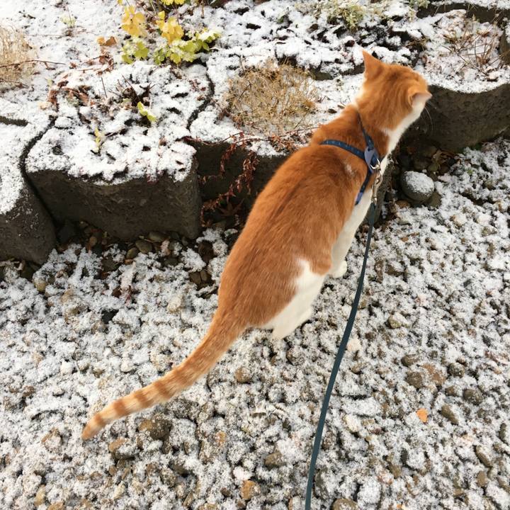 Dd9ca947 efef 4658 a29a 0cc4ecf218e5