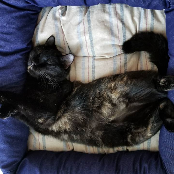 Dd9cad00 3337 4198 a77a 1931c77b76dd