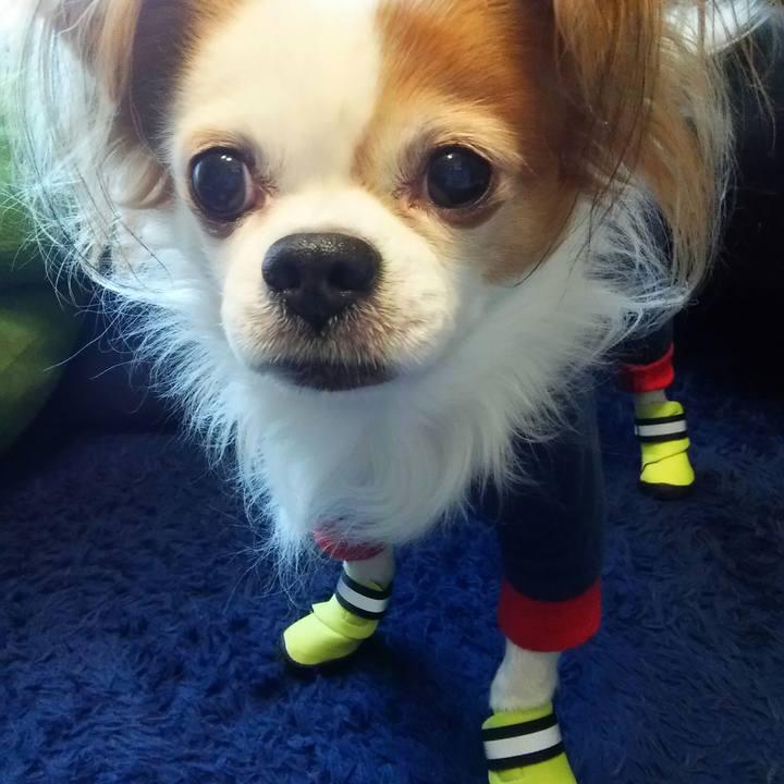 Dd9d2815 a02b 4875 b7bf ced918d4a5c1