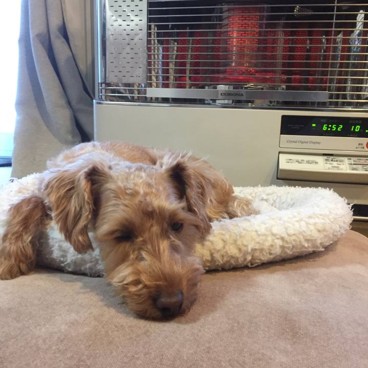 Dd9d45d0 9c3d 4ffa 855a eacf79612ddc