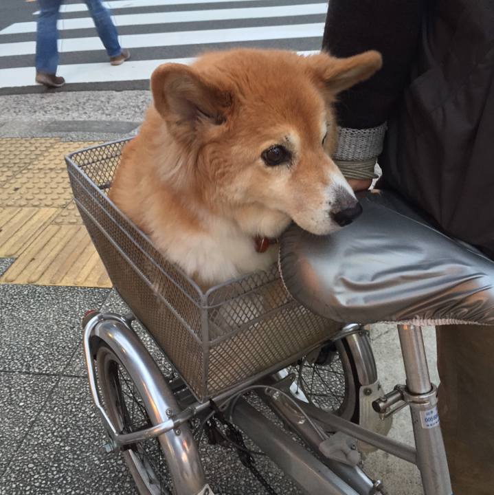 Dd9d4cdb 8c3f 4db2 ab48 9f5b5b6eeecb