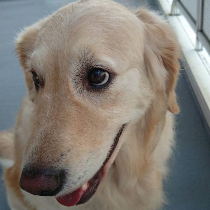 Dd9d5f6d ce6a 41fc 8715 3a5a805375e1