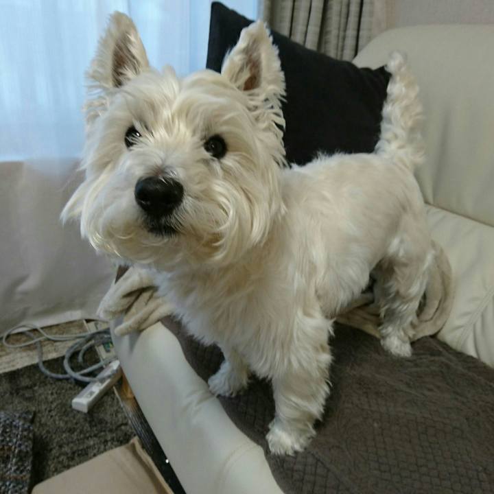 Dd9e0933 b07b 48df b0c6 e46f9c5b53b4