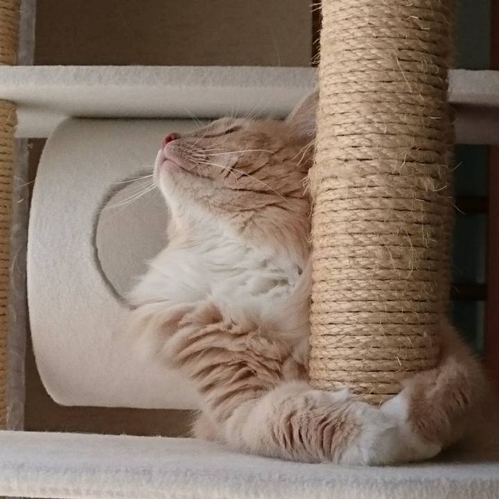 Dd9e4905 e17f 454a 9634 90632f6a6db7