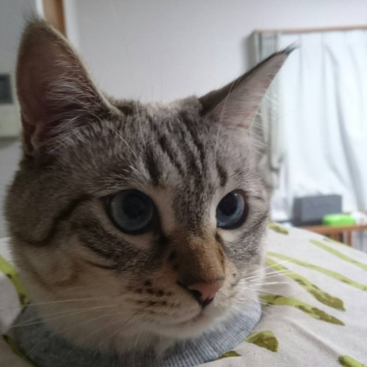 Dd9ebf1e e6d7 4613 b5a6 07d6aeb0c205