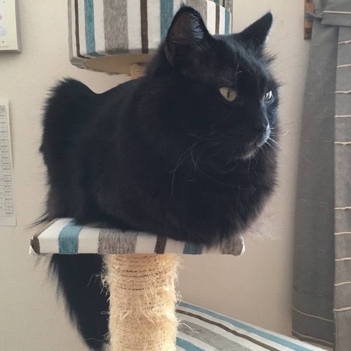 Dd9ec8e4 a96f 4f30 a0eb d55d8558e703