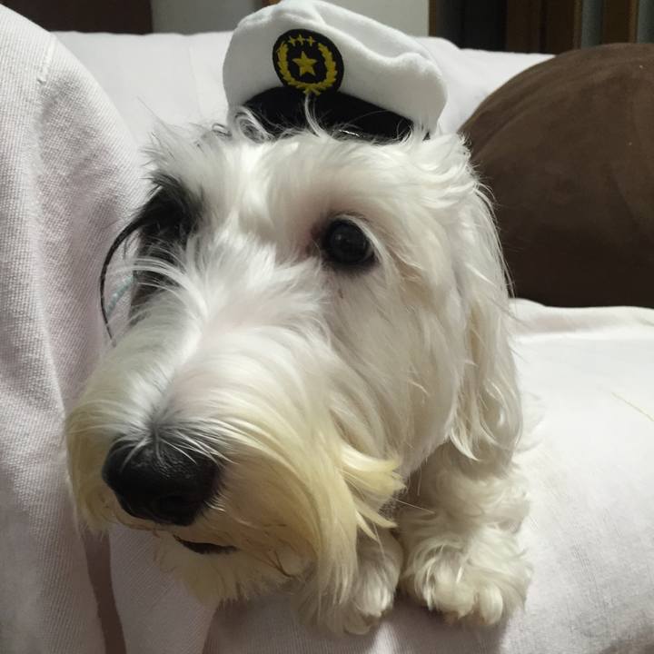 Dda0147b 93fc 4dfb 9a6e 3e1a1d15e3a7