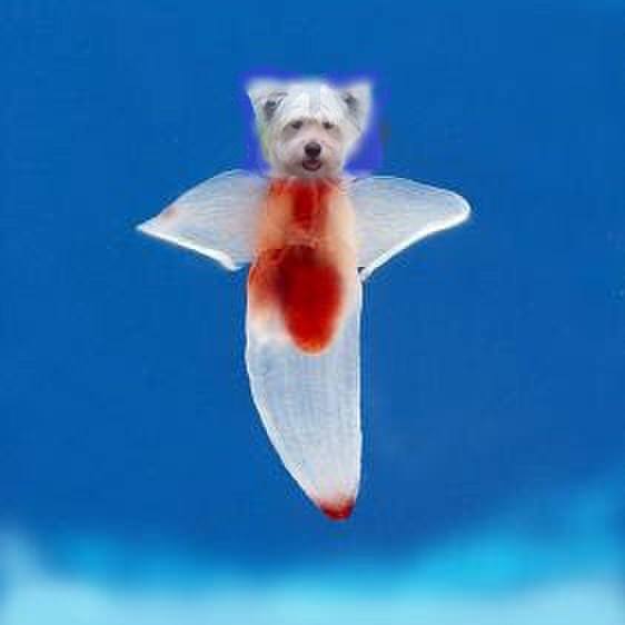 Dda05bc4 531a 4db9 bcd9 0ff665ebe25c