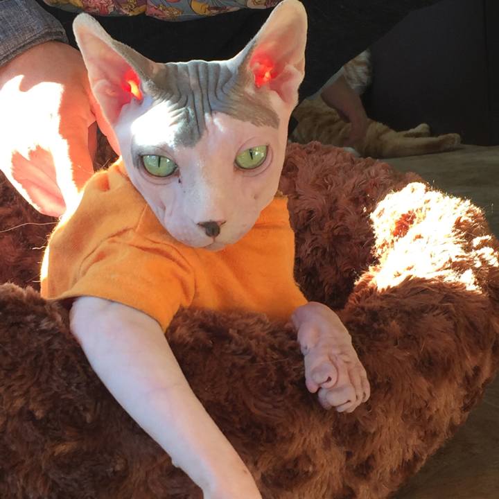 Dda11fc6 c826 4332 a2ee 689c1a4be868