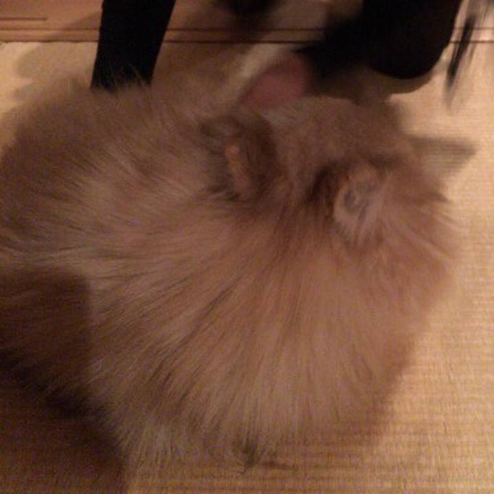 Dda148b8 05d2 4e3b b8b7 dea94c46aa32