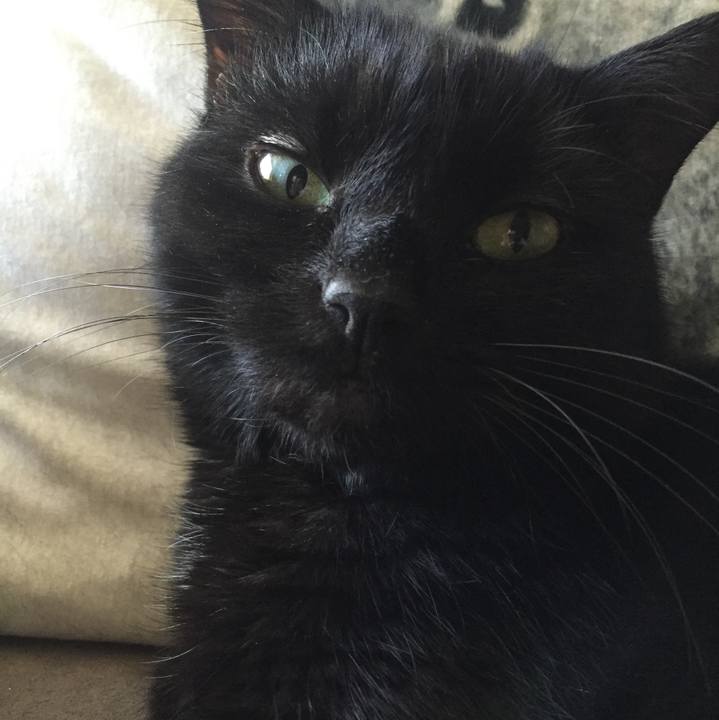 Dda199fd 1693 478e 8933 edb9e521d79d