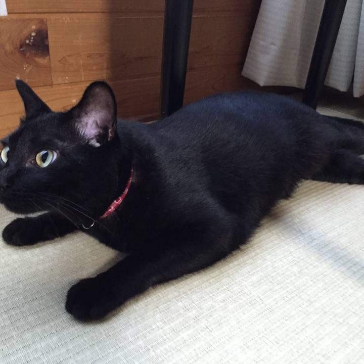 Dda1afd8 8005 4e7b bf43 454c9ad593c9