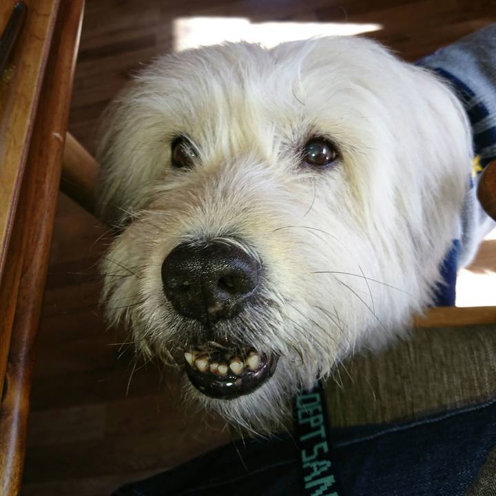 Dda1b952 73df 4ead 90ab 4d93c2d9fe38