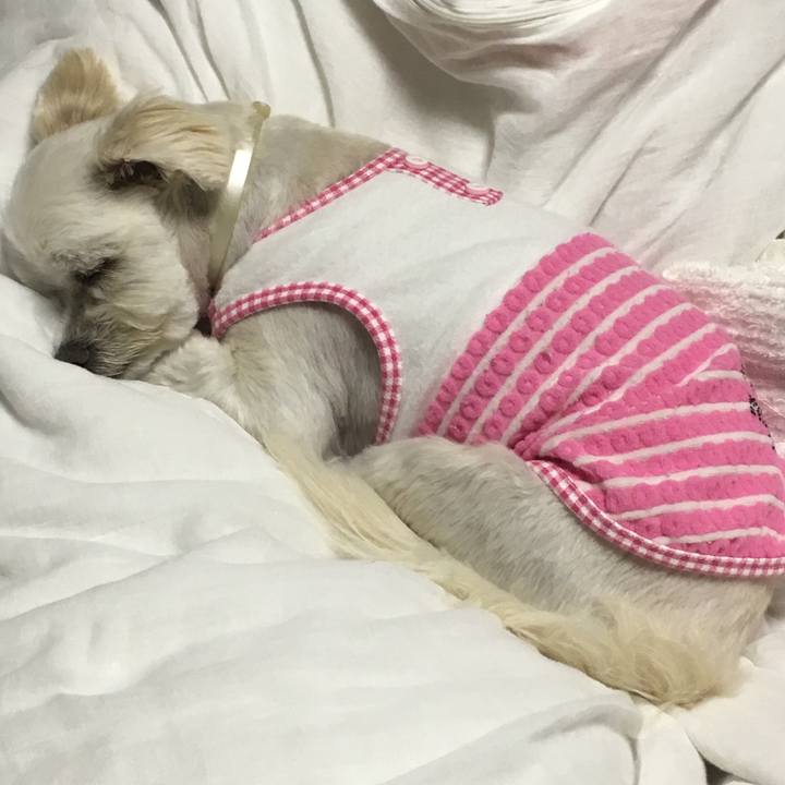 Dda1d148 ebd3 49f1 98ac 550acc31deea