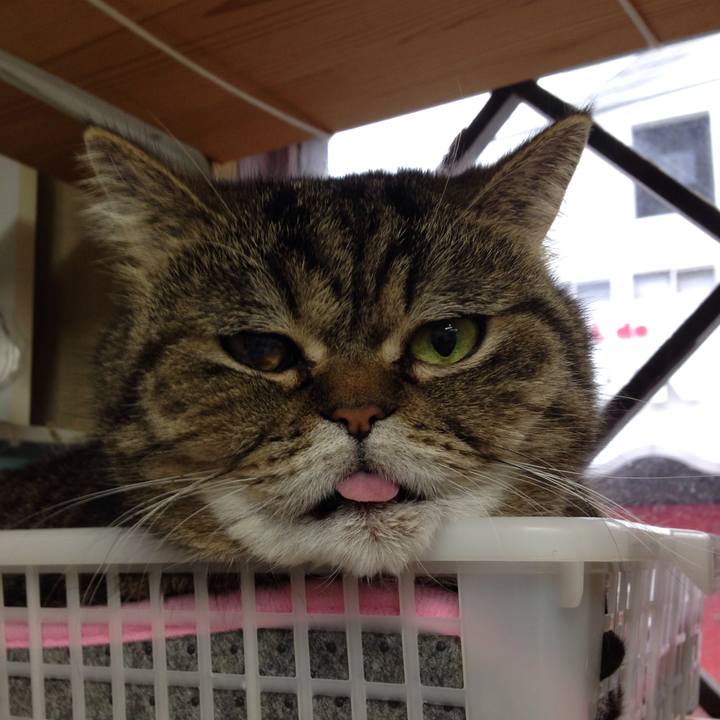 Dda1e987 32e4 4143 b76d 77b73bebcf3e