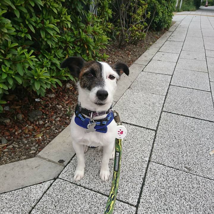 Dda23c19 d11c 432d b391 3ad8de6e852c