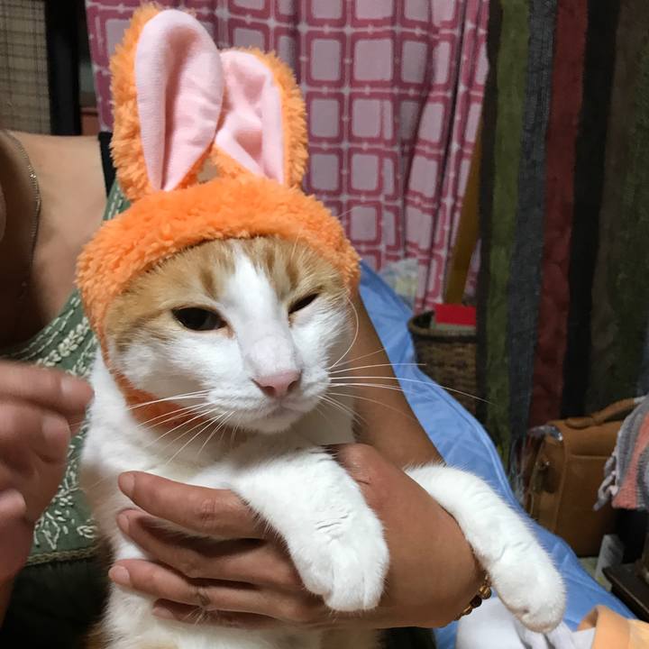 Dda290ed 240f 463b 9cda 137c2b7446c2