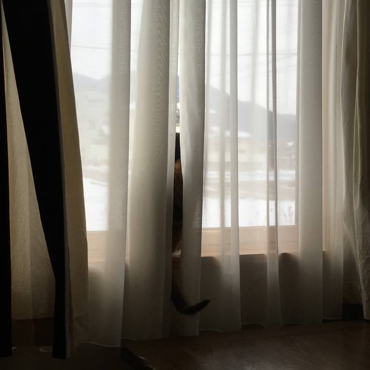 Dda3bc5f 419d 440f 8146 3cfdb0670a2d