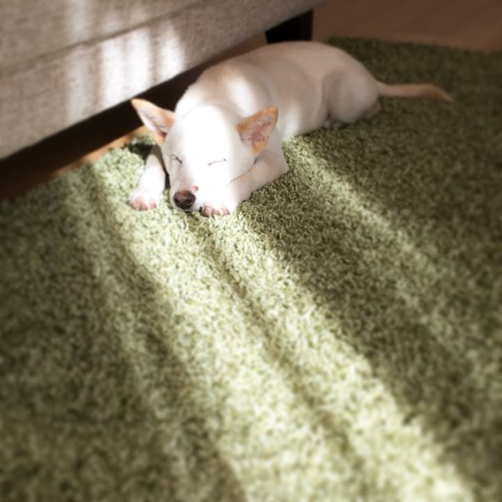 Dda4af28 81a3 47f3 9184 7be29cd9691b