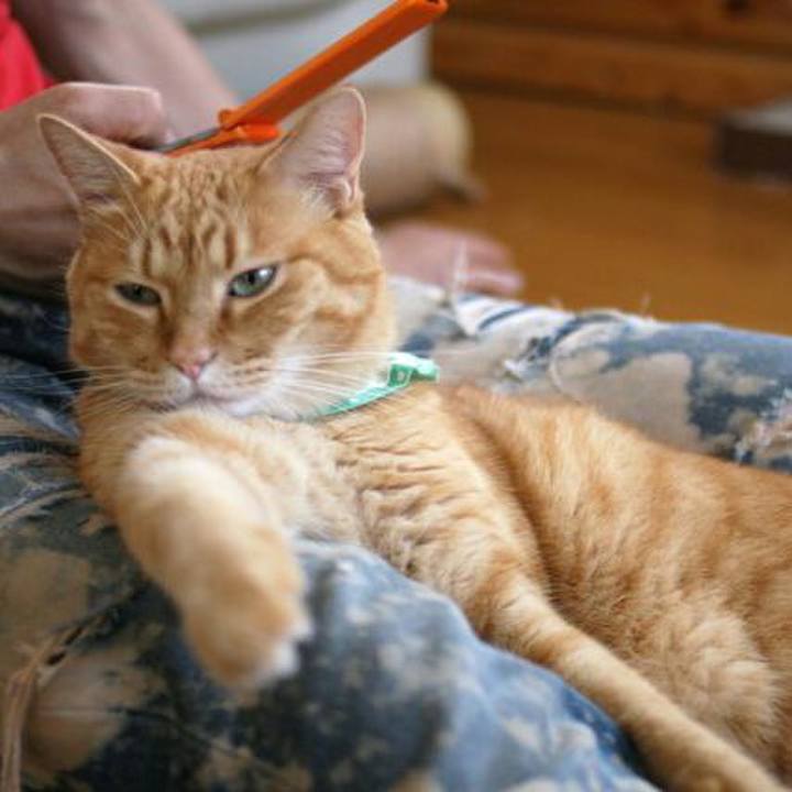 Dda5b04d f088 4eef b875 5ac6f437a08d