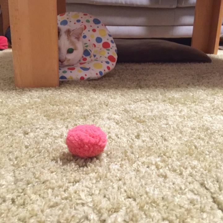 Dda5c430 700b 452e 997c 067aea971eb7