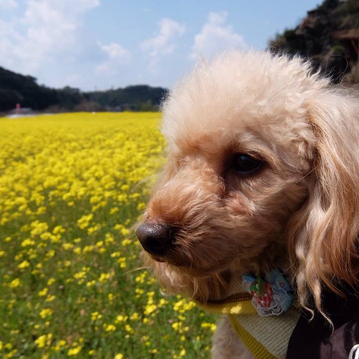 Dda69b81 f858 4c52 9687 4d54c6a47482