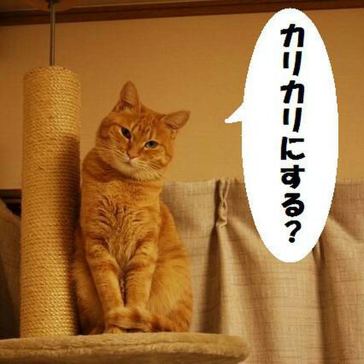 Dda6a549 4cbf 47fd 8f62 3c7207f03c88