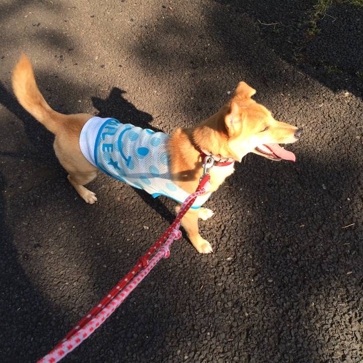 Dda7476d ed42 4855 8441 abfe8bc46b82