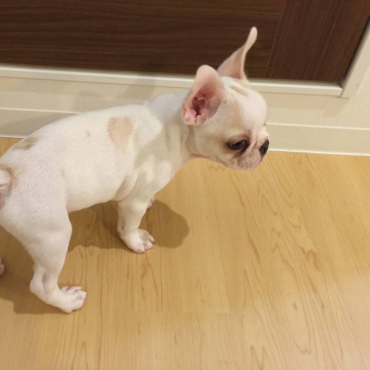 Dda74f19 33de 4931 b364 118a5c27f04c